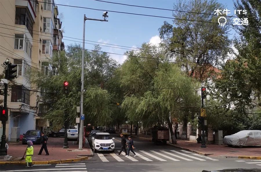 女警察脱了内裤掀起裙子被打屁股