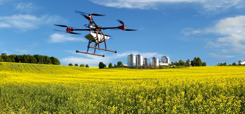 女警察脱了内裤掀起裙子被打屁股